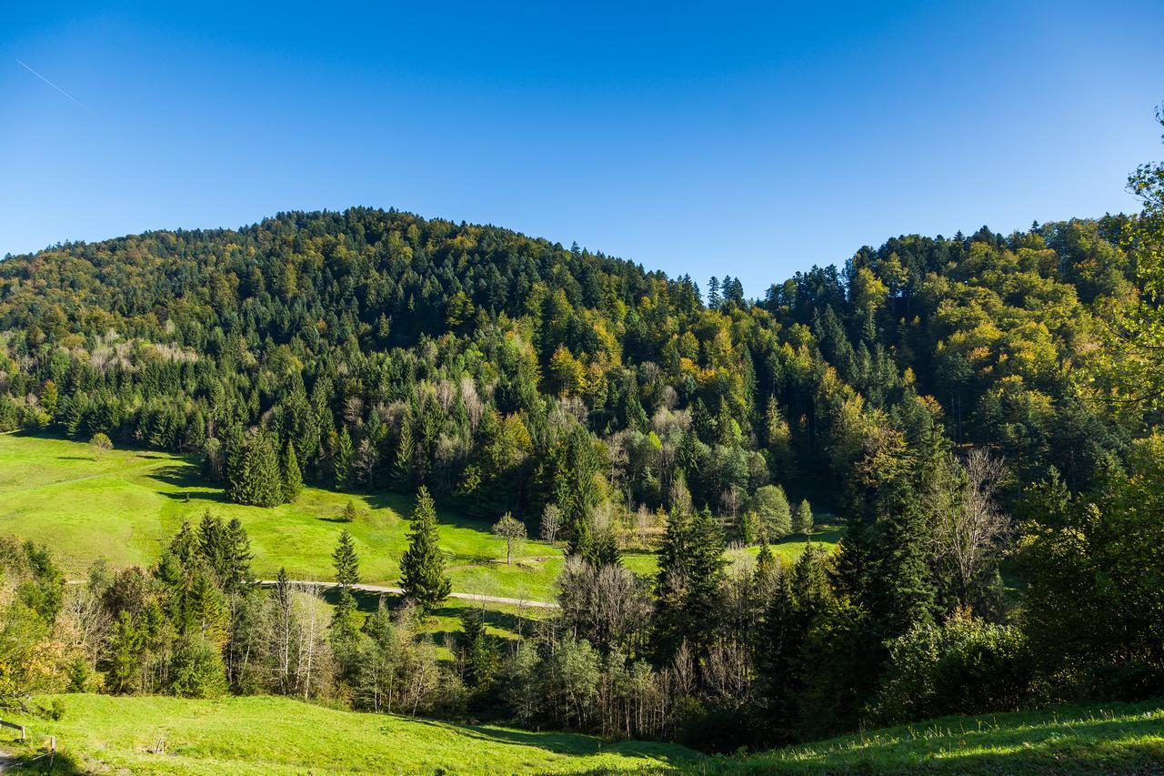 Hotel Bad Rain Mit Oberstaufen Plusgolf Extérieur photo